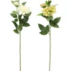 4LIVING DAALIA OKSA 62 CM LAJITELMA