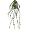 4LIVING EUKALYPTUS RIIPPUVA 96 CM