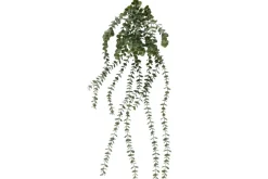4LIVING EUKALYPTUS RIIPPUVA 96 CM
