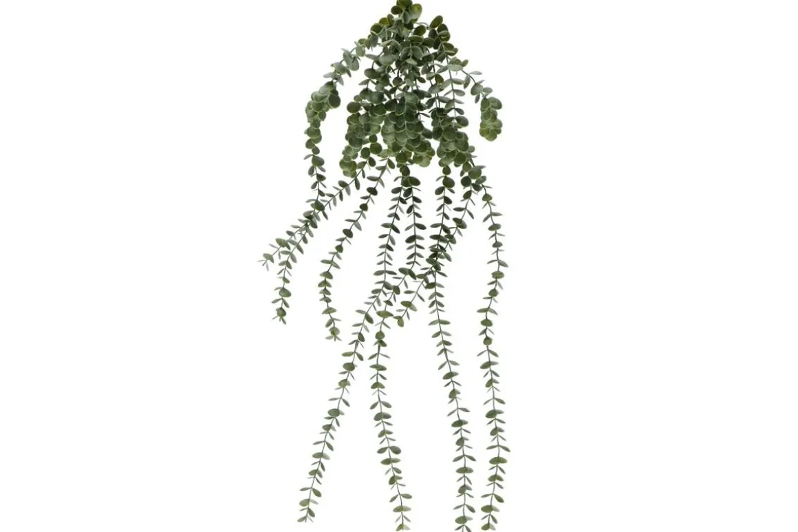 4LIVING EUKALYPTUS RIIPPUVA 96 CM