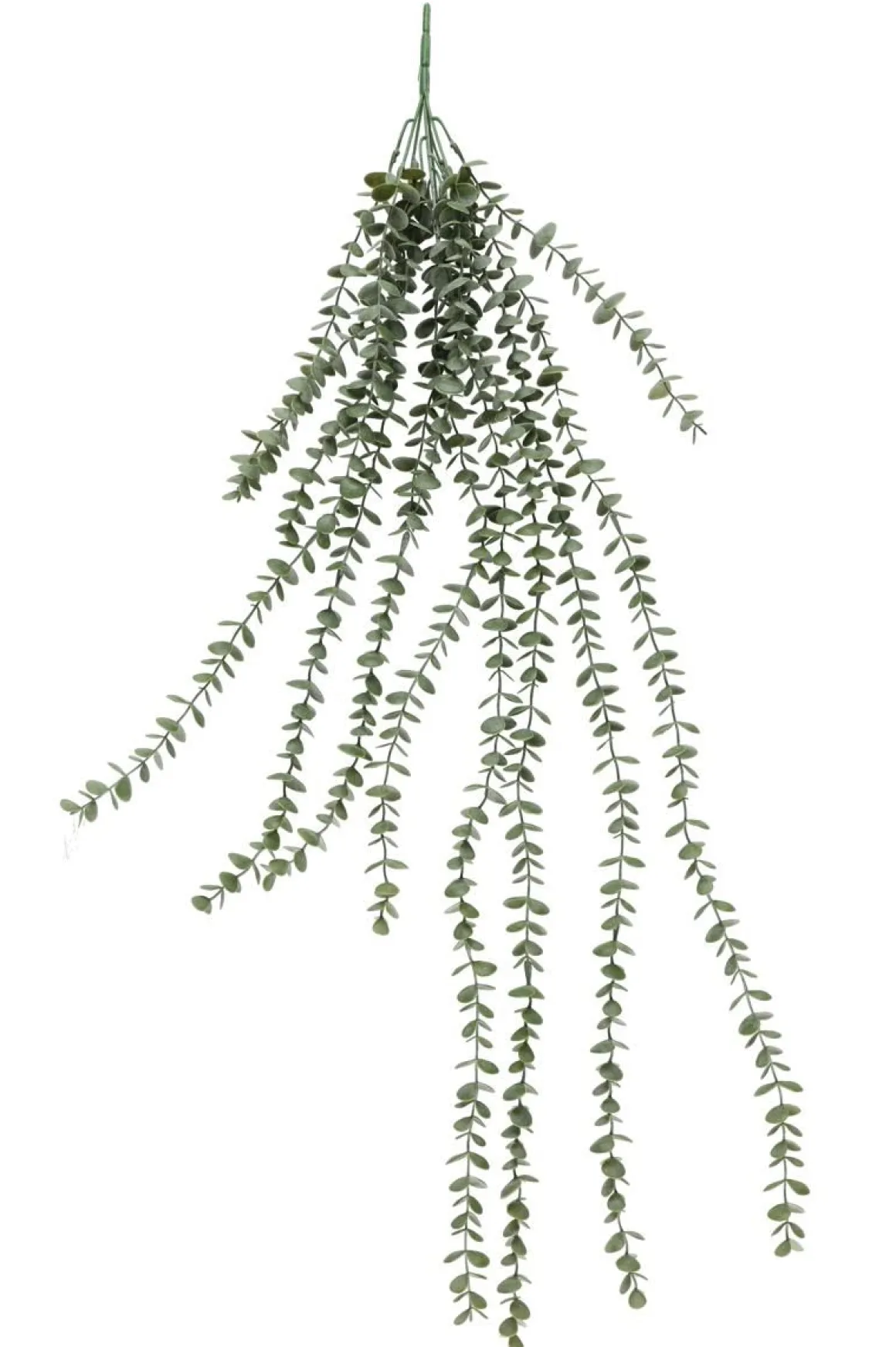 4LIVING EUKALYPTUS RIIPPUVA 96 CM