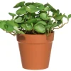 4LIVING HATTUPUTKI RUUKUSSA 16 CM