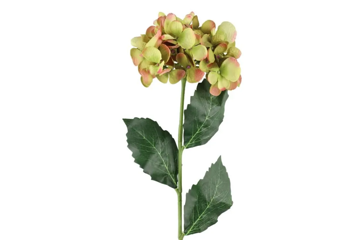 4LIVING HORTENSIA OKSA 60 CM LAJITELMA