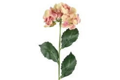 4LIVING HORTENSIA OKSA 60 CM LAJITELMA