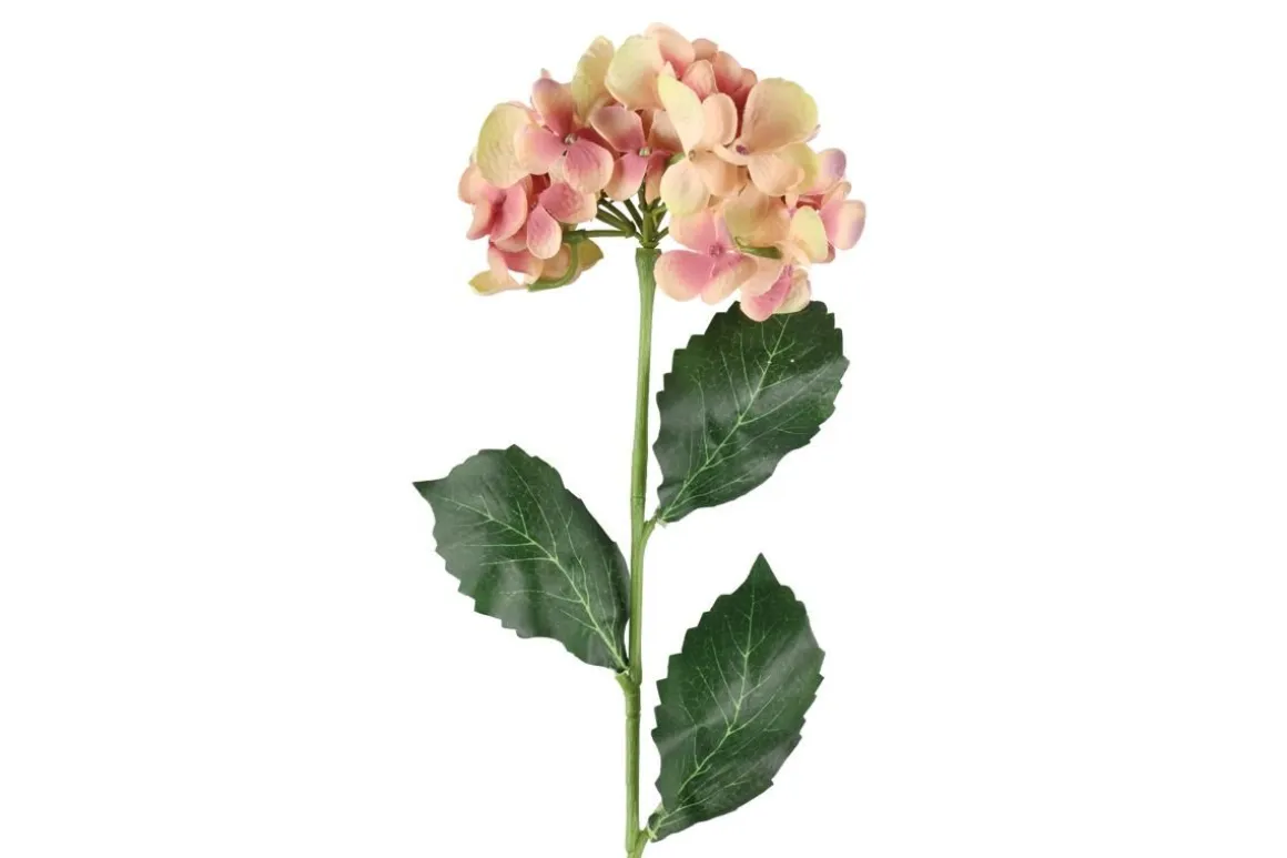 4LIVING HORTENSIA OKSA 60 CM LAJITELMA