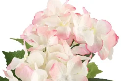 4LIVING HORTENSIA RUUKUSSA TEKOKASVI LAJITELMA
