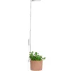 4LIVING KASVIVALAISIN LED