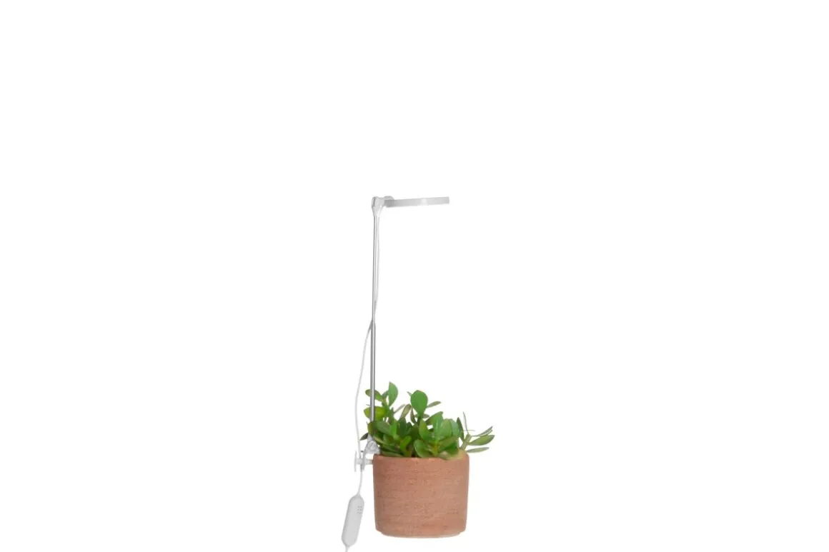 4LIVING KASVIVALAISIN LED