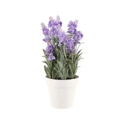 4LIVING LAVENTELI 26 CM