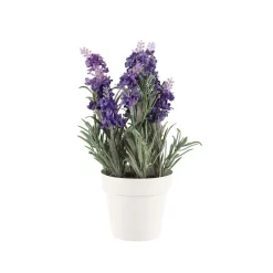4LIVING LAVENTELI 26 CM