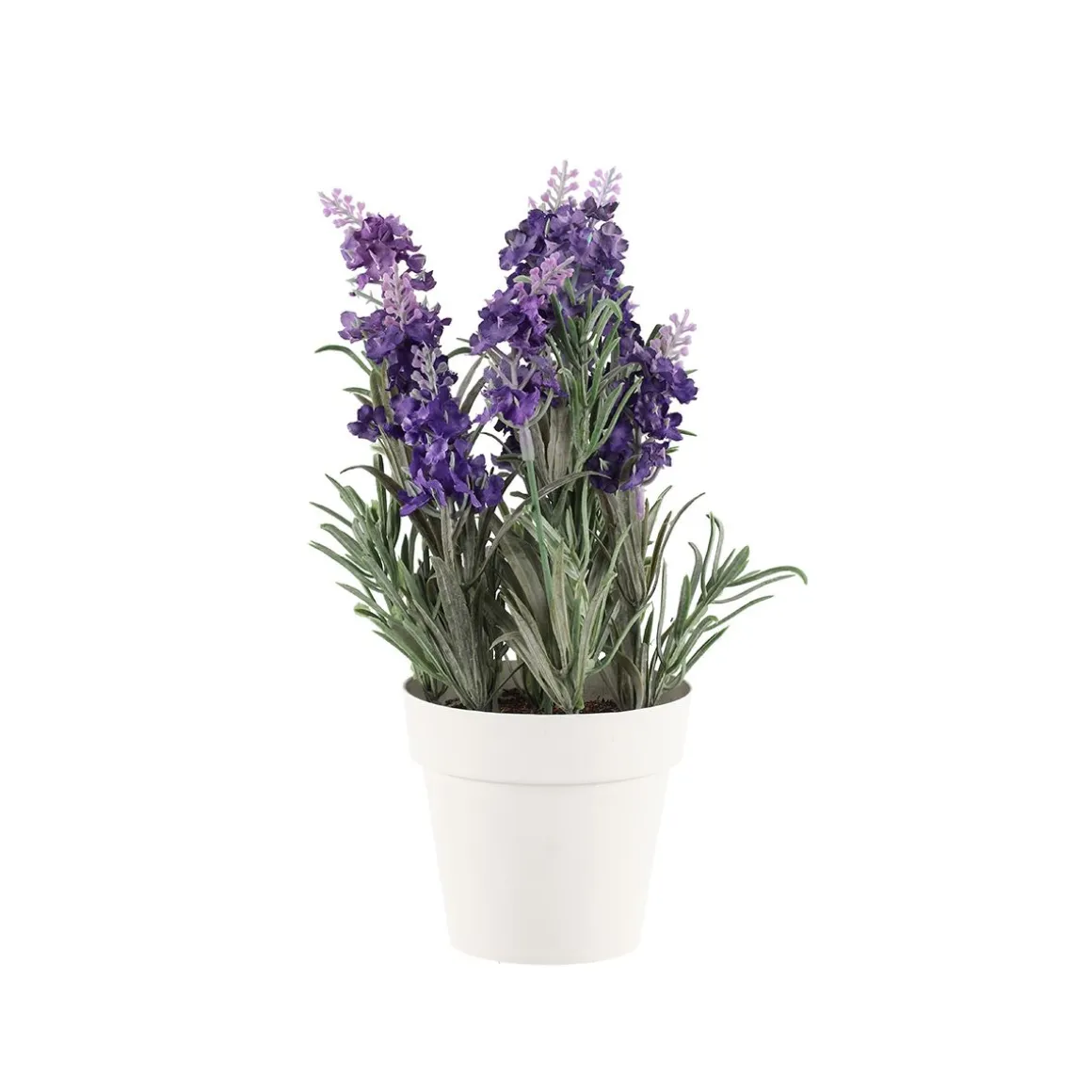4LIVING LAVENTELI 26 CM