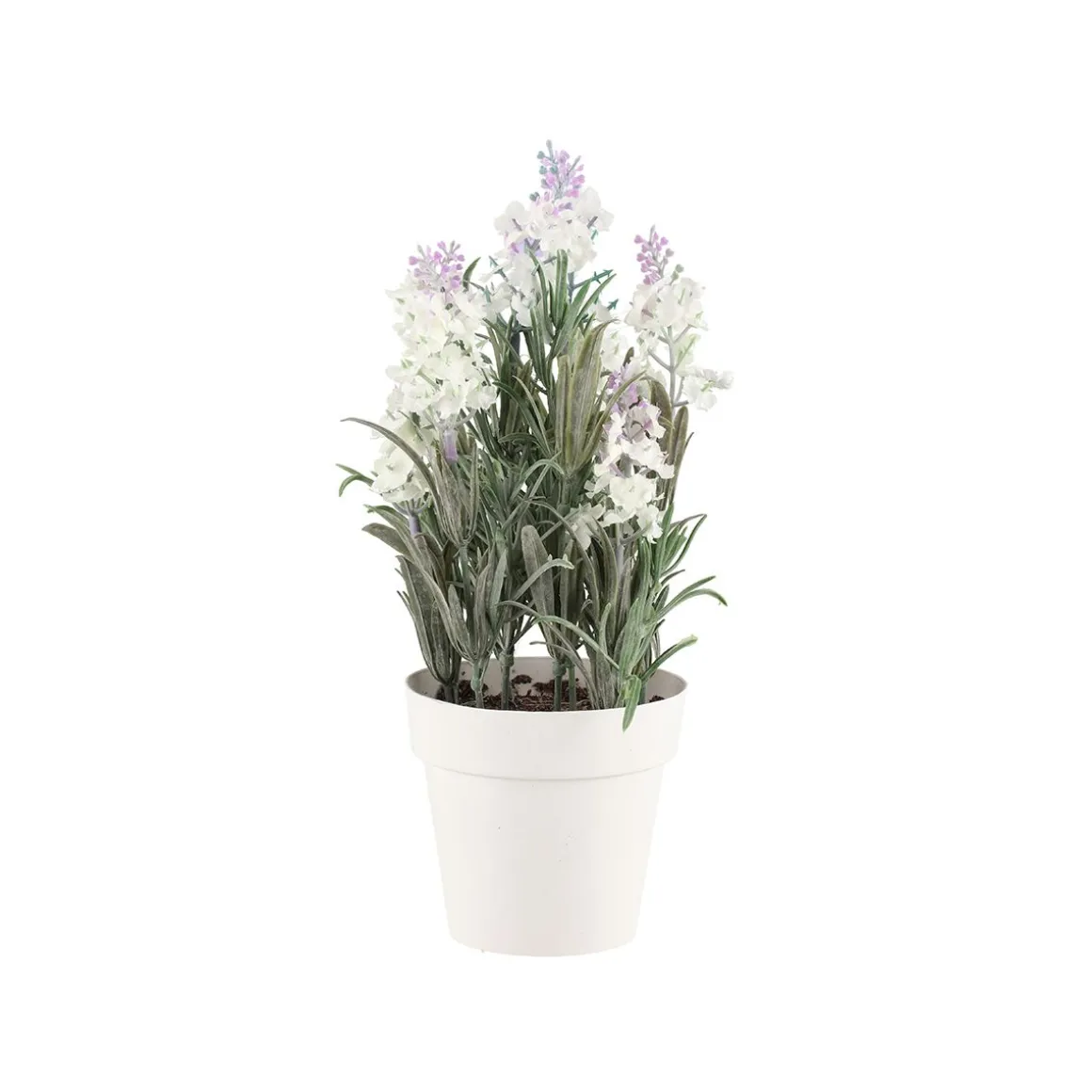 4LIVING LAVENTELI 26 CM