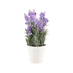 4LIVING LAVENTELI 26 CM