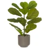 4LIVING LYYRAFIIKUS RUUKUSSA 46 CM