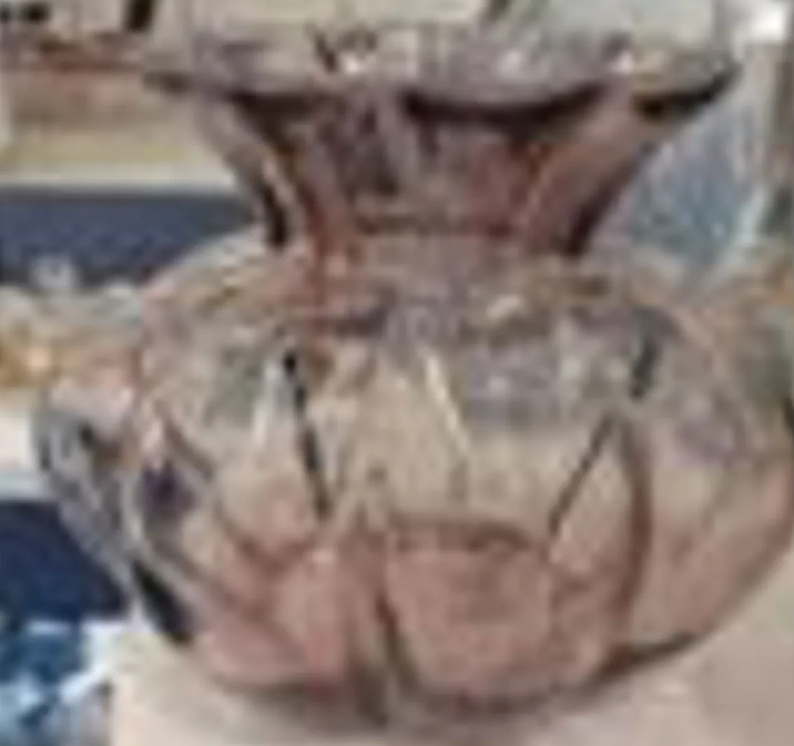 4LIVING MALJAKKO LOTUS KIRKAS 23,5 CM