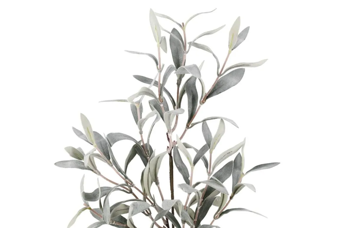 4LIVING OLIIVI OKSA 60 CM