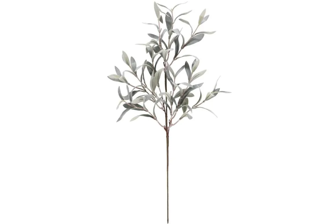 4LIVING OLIIVI OKSA 60 CM