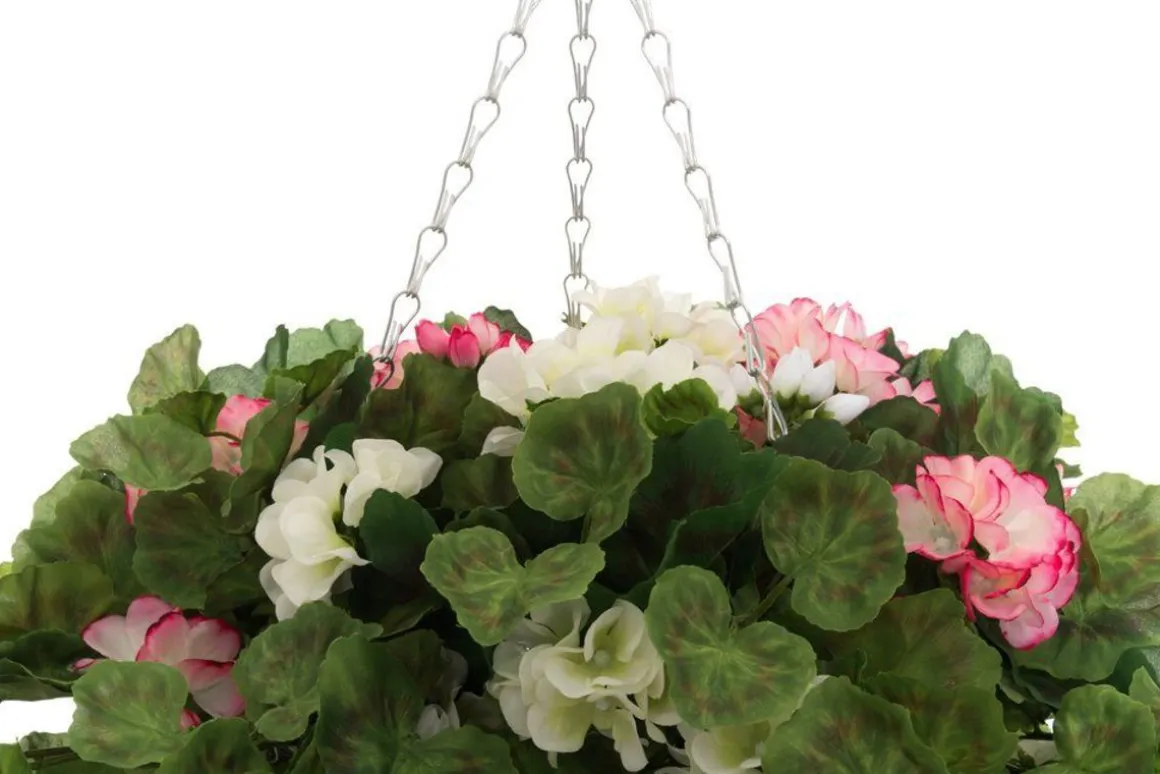 4LIVING PELARGONIA AMPPELI 100 CM