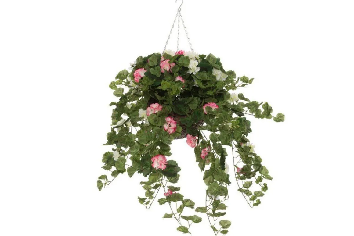 4LIVING PELARGONIA AMPPELI 100 CM