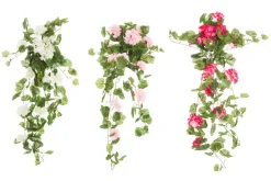 4LIVING PELARGONIA KIMPPU RIIPPUVA 80 CM TEKOKASVI LAJITELMA