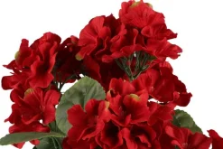 4LIVING PELARGONIA RUUKUSSA TEKOKASVI LAJITELMA