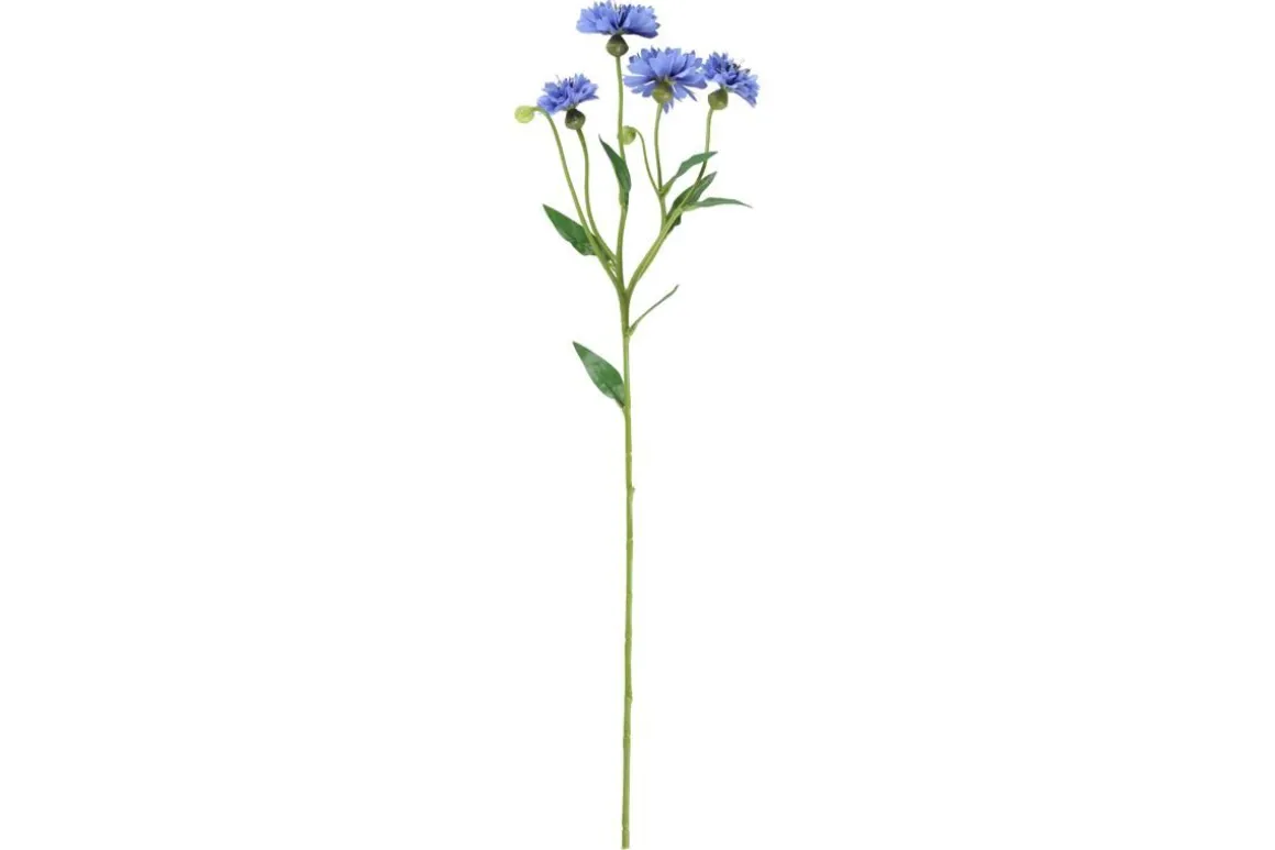 4LIVING RUISKUKKA OKSA 61,5 CM