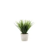 4LIVING RUOHO BETONIRUUKUSSA 25 CM