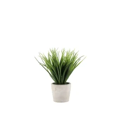 4LIVING RUOHO BETONIRUUKUSSA 25 CM