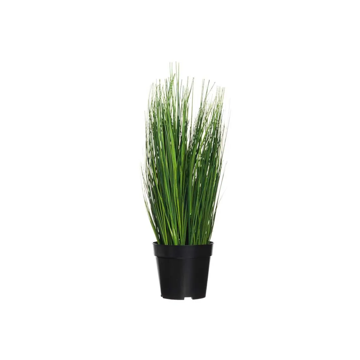 4LIVING RUOHO RUUKUSSA 54 CM