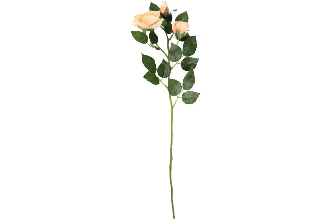 4LIVING RUUSU OKSA 63 CM LAJITELMA