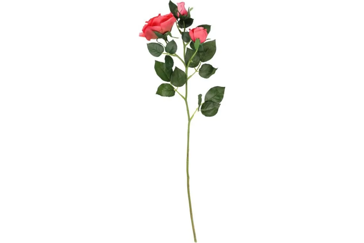 4LIVING RUUSU OKSA 63 CM LAJITELMA