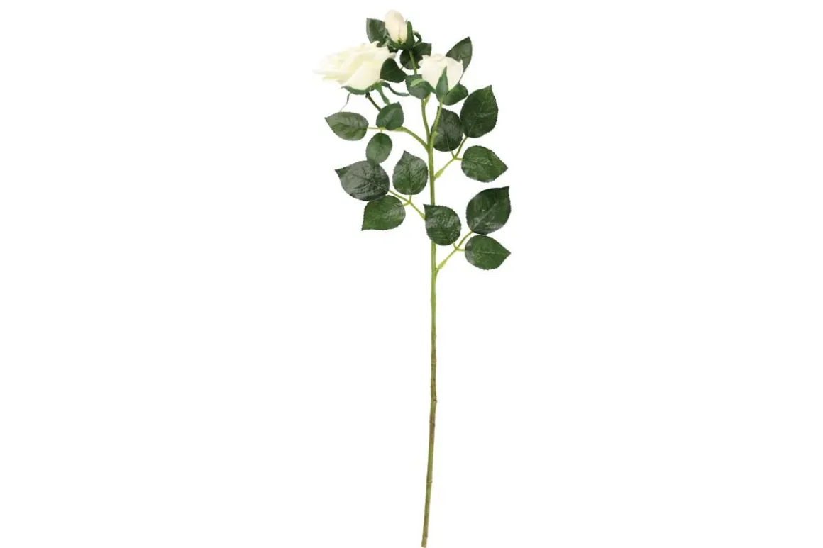 4LIVING RUUSU OKSA 63 CM LAJITELMA