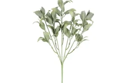 4LIVING SALVIA KIMPPU 34 CM TEKOKASVI