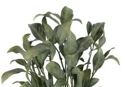 4LIVING SALVIA KIMPPU 34 CM TEKOKASVI