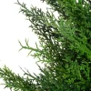 4LIVING SYPRESSI 90 CM