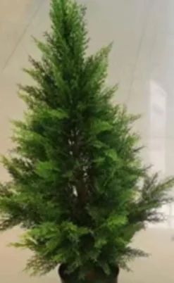 4LIVING SYPRESSI 90 CM