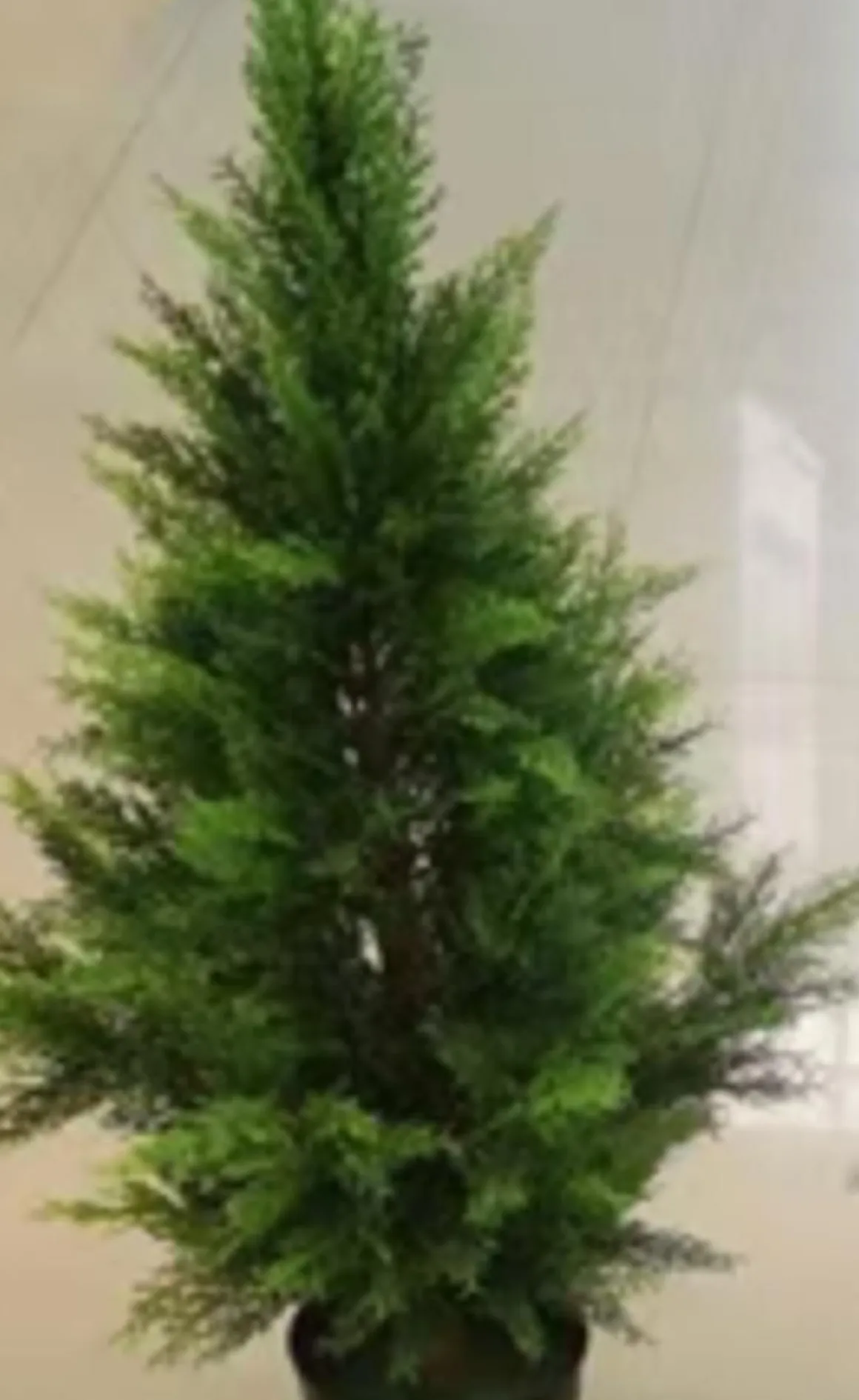 4LIVING SYPRESSI 90 CM