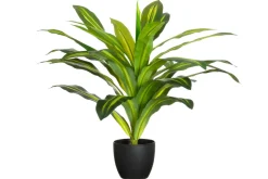 4LIVING TRAAKKIPUU RUUKUSSA 60 CM