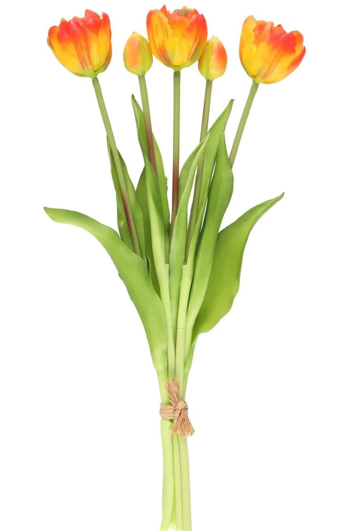 4LIVING TULPPAANI KIMPPU KERROTTU 39 CM LAJITELMA