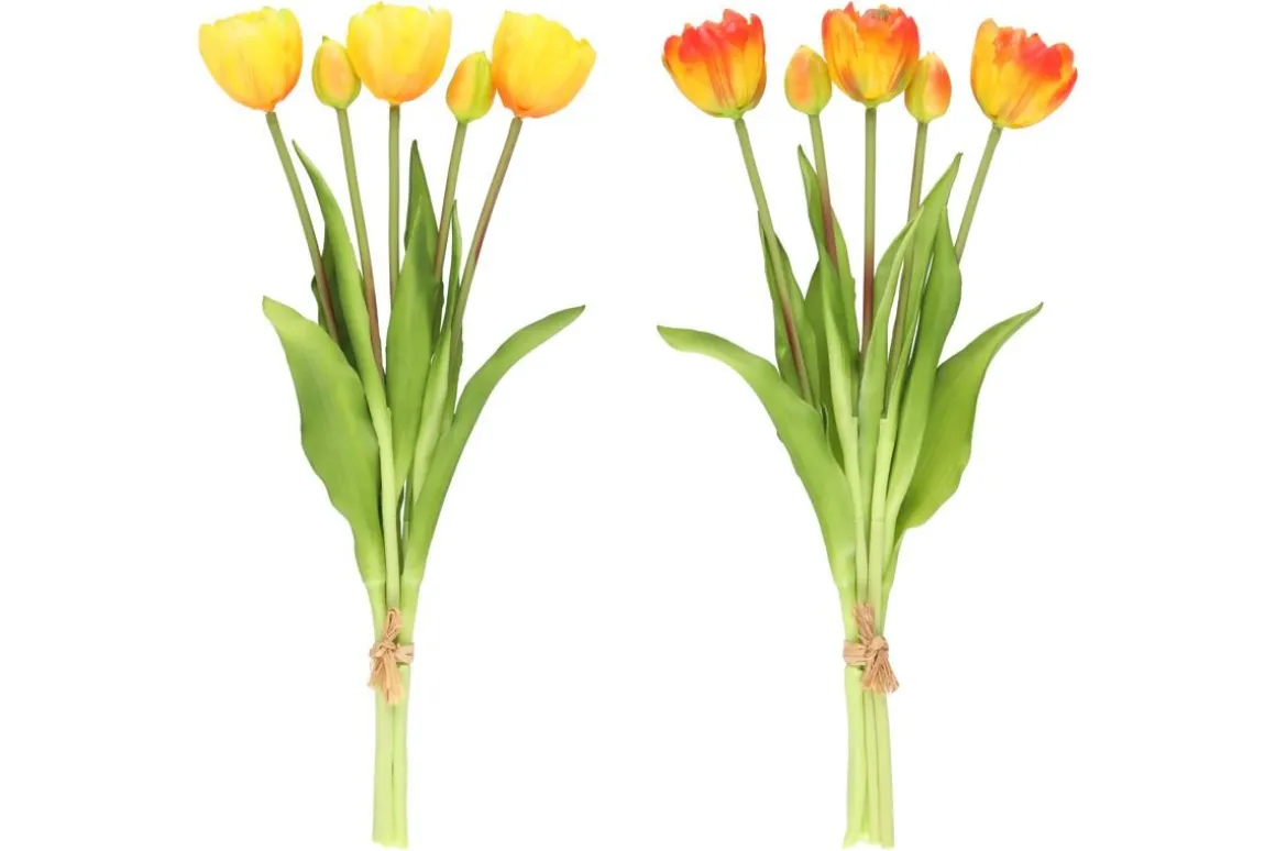 4LIVING TULPPAANI KIMPPU KERROTTU 39 CM LAJITELMA