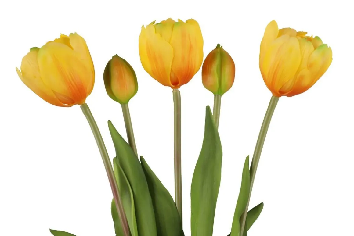 4LIVING TULPPAANI KIMPPU KERROTTU 39 CM LAJITELMA