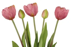4LIVING TULPPAANI KIMPPU KERROTTU 39 CM LAJITELMA