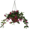 4LIVING VERENPISARA TEKOKASVI AMPPELISSA 22 CM