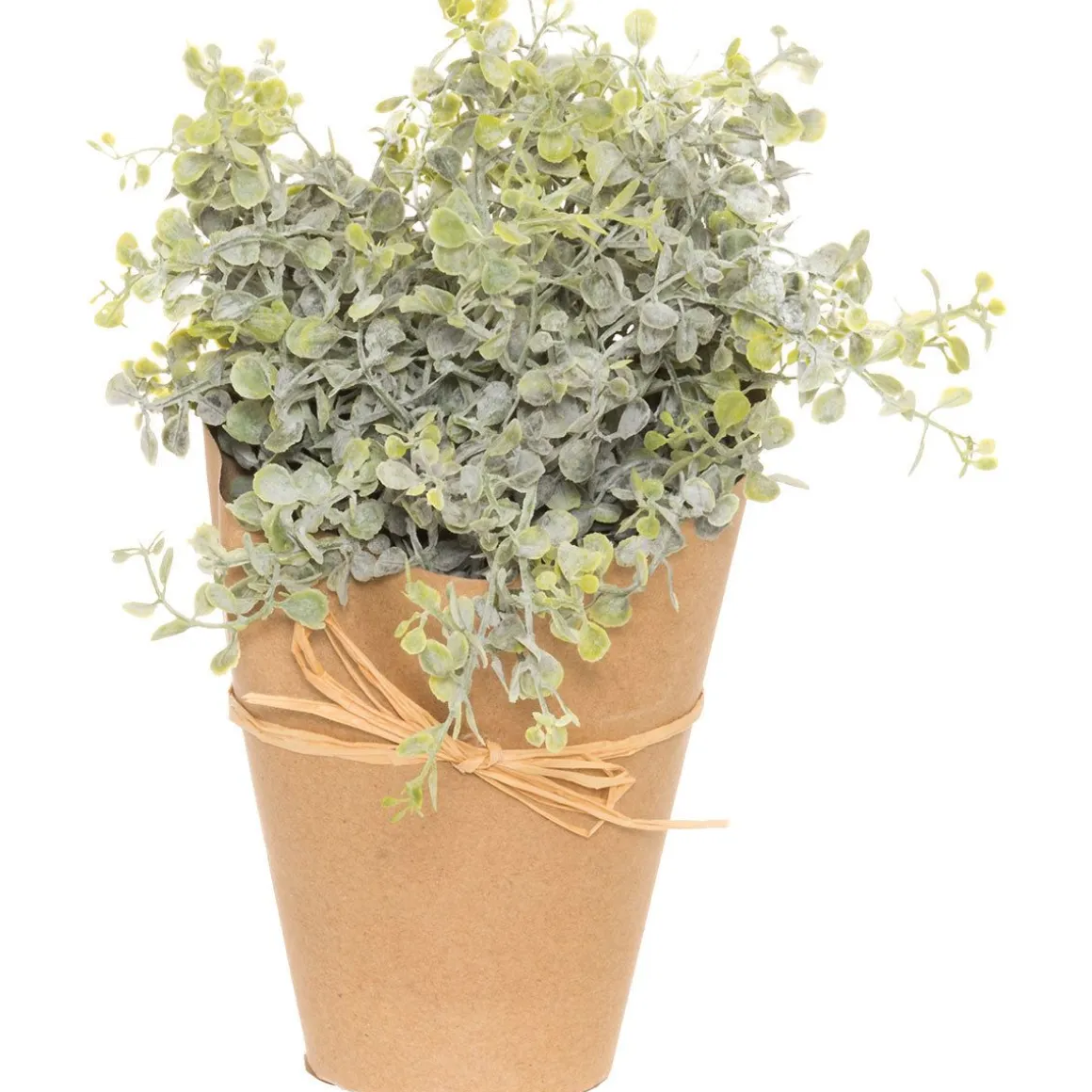 4LIVING VIHERKASVI 25 CM