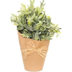 4LIVING VIHERKASVI 25 CM
