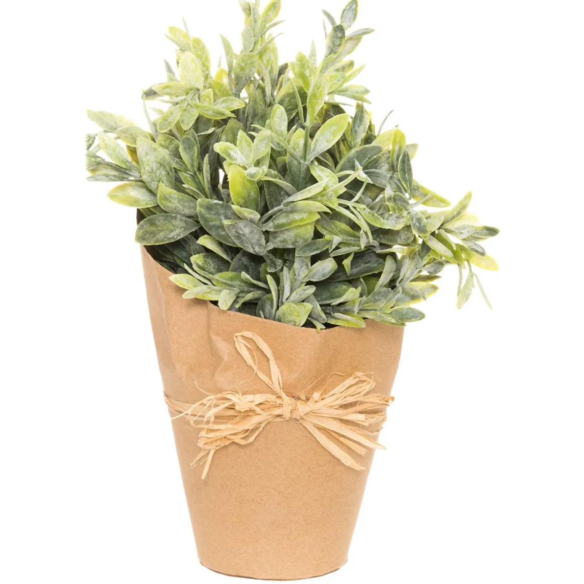 4LIVING VIHERKASVI 25 CM