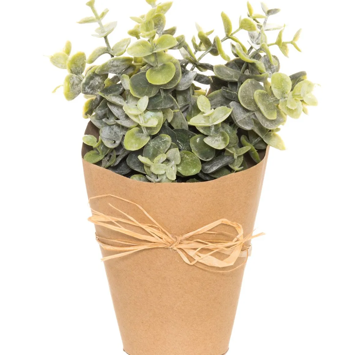 4LIVING VIHERKASVI 25 CM