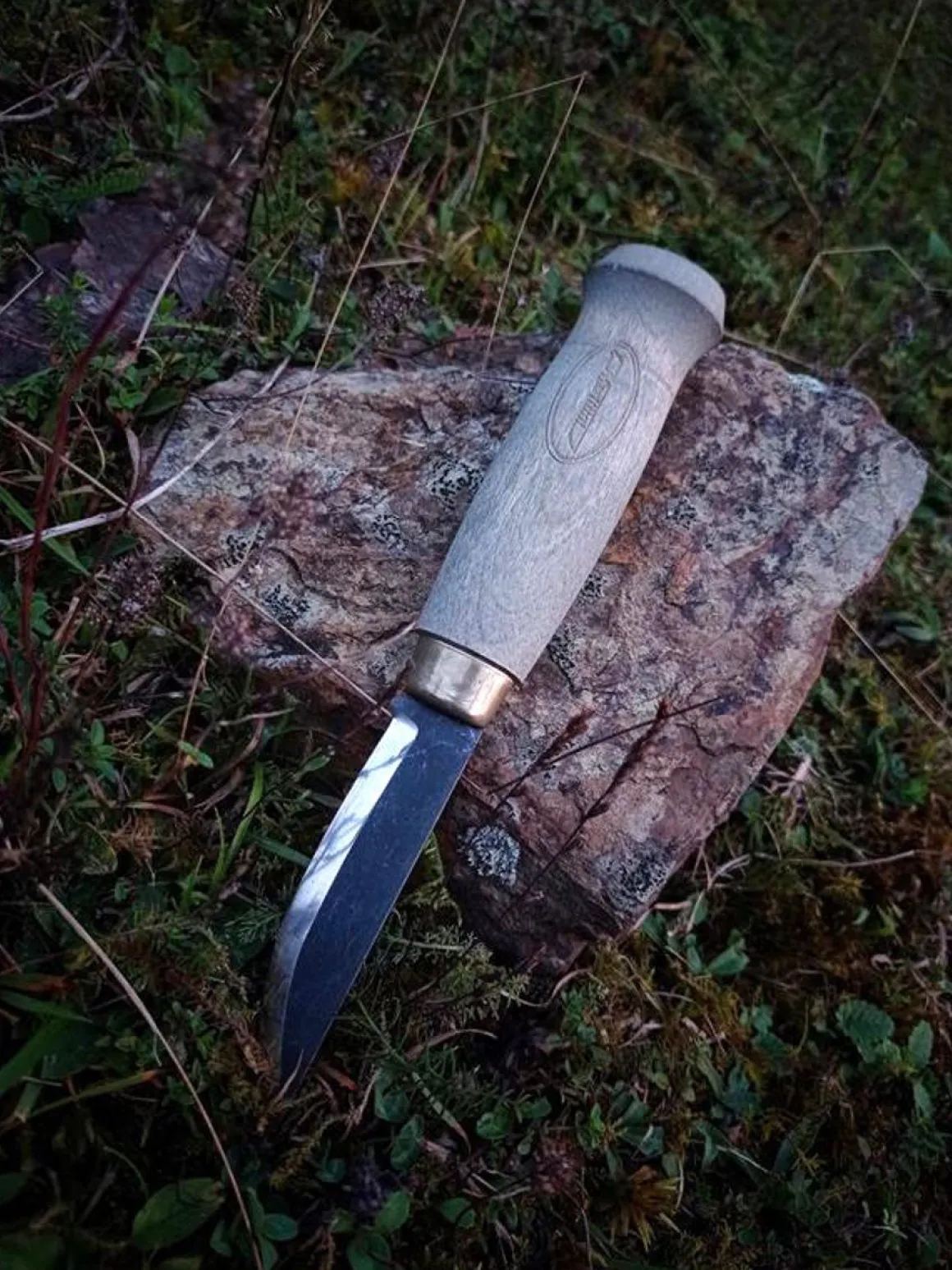 MARTTIINI KAAMOSJÄTKÄ PUUKKO