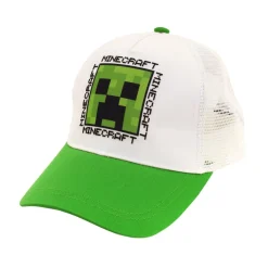MINECRAFT LASTEN MINECRAFT LIPPIS 54