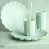 MUOVIPILLI UUDELLEENKÄYTETTÄVÄ PUHDISTUSHARJALLA 23 CM VIHREÄ 1